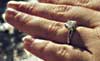 the-ring-at-bellagio-1-thm.jpg