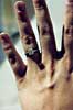 the-ring-at-bellagio-3-thm.jpg